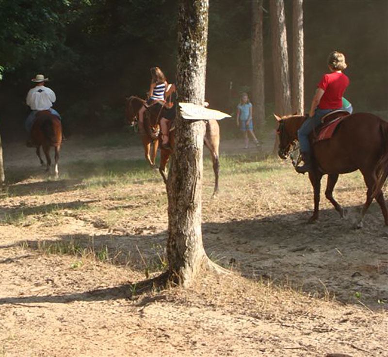 Horseback riding in South Arkansas