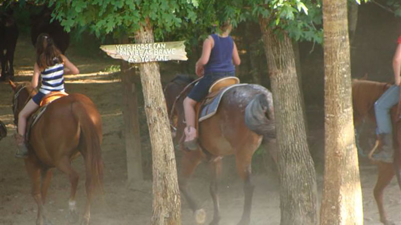 vacations in South Arkansas